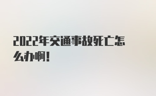 2022年交通事故死亡怎么办啊！