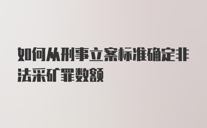 如何从刑事立案标准确定非法采矿罪数额