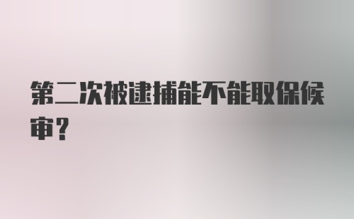 第二次被逮捕能不能取保候审?