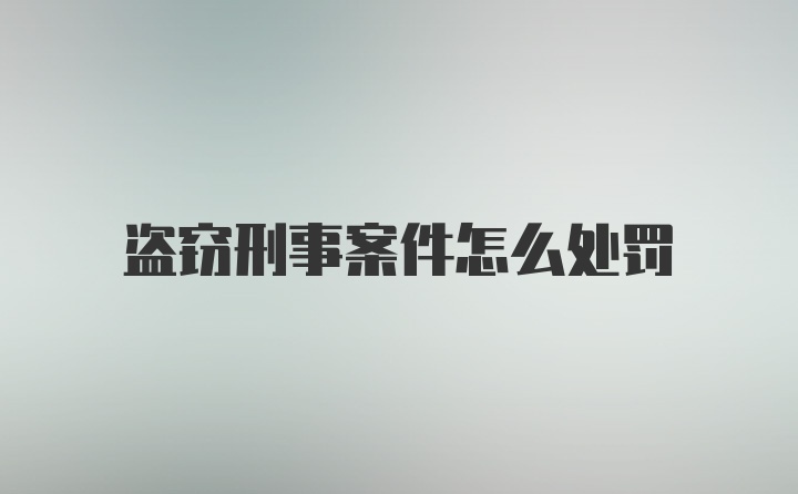 盗窃刑事案件怎么处罚