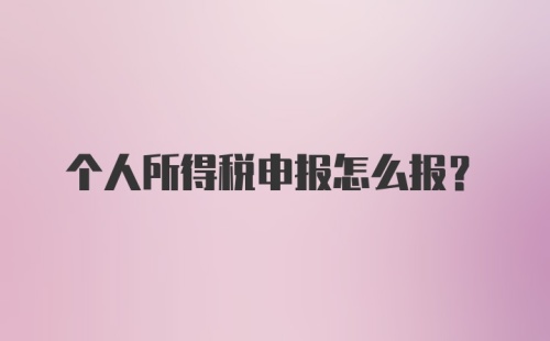 个人所得税申报怎么报？