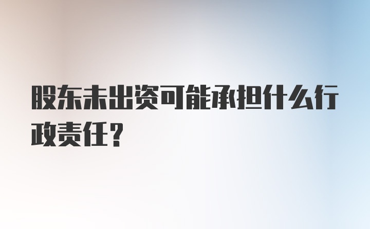 股东未出资可能承担什么行政责任？