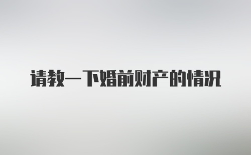 请教一下婚前财产的情况