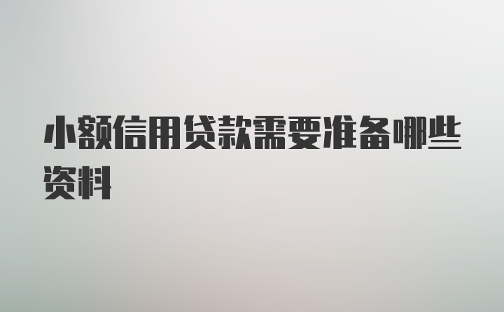 小额信用贷款需要准备哪些资料