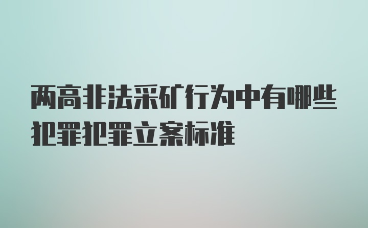 两高非法采矿行为中有哪些犯罪犯罪立案标准