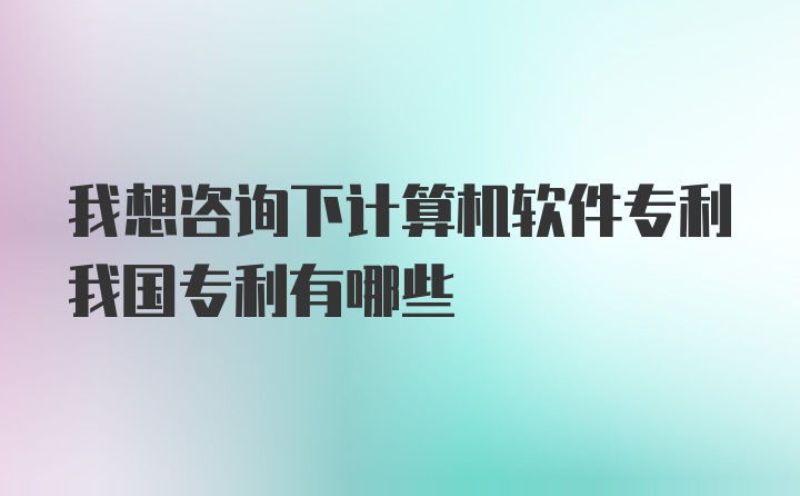 我想咨询下计算机软件专利我国专利有哪些