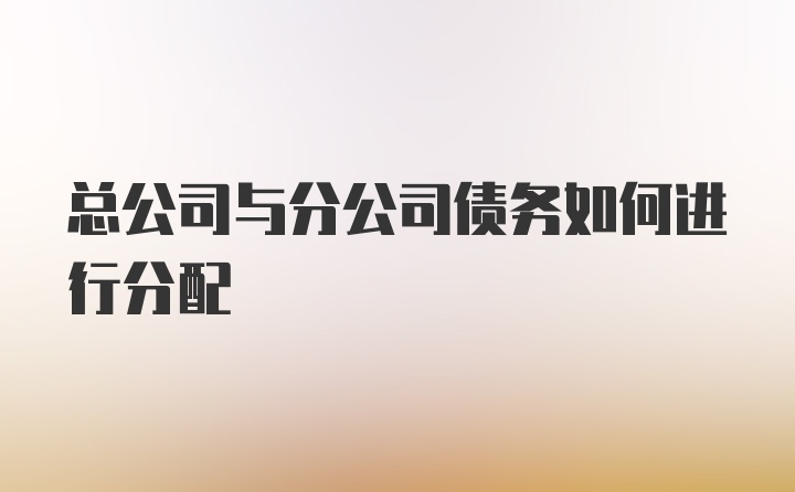 总公司与分公司债务如何进行分配