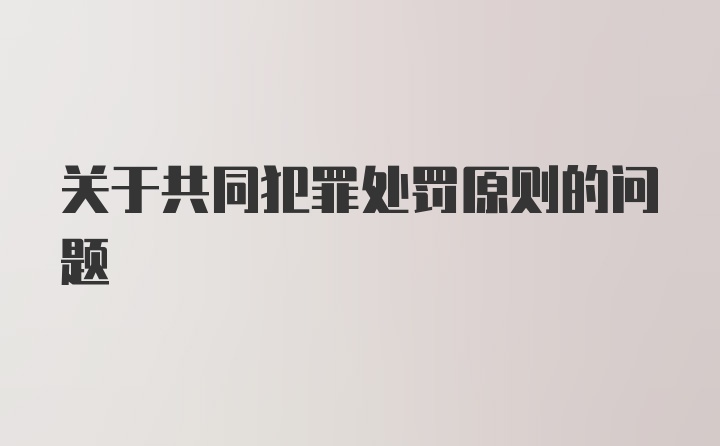 关于共同犯罪处罚原则的问题