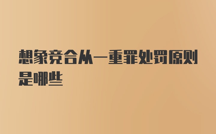 想象竞合从一重罪处罚原则是哪些