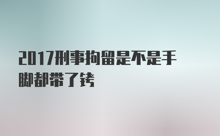 2017刑事拘留是不是手脚都带了铐