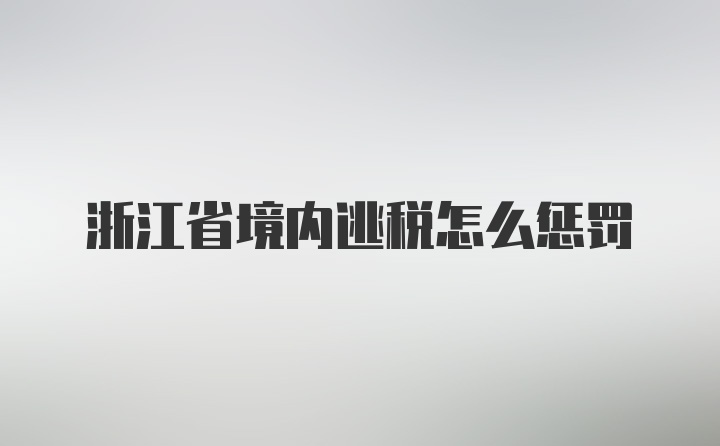 浙江省境内逃税怎么惩罚