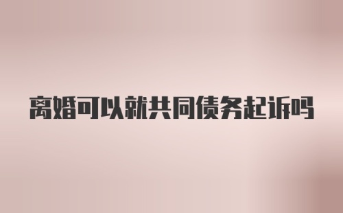 离婚可以就共同债务起诉吗