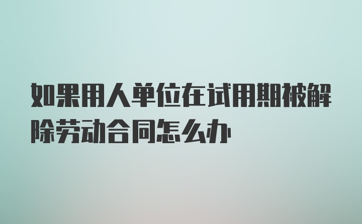 如果用人单位在试用期被解除劳动合同怎么办