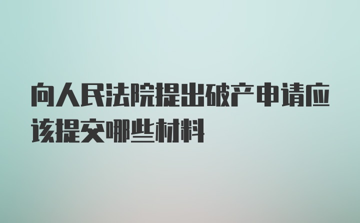 向人民法院提出破产申请应该提交哪些材料