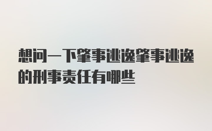 想问一下肇事逃逸肇事逃逸的刑事责任有哪些