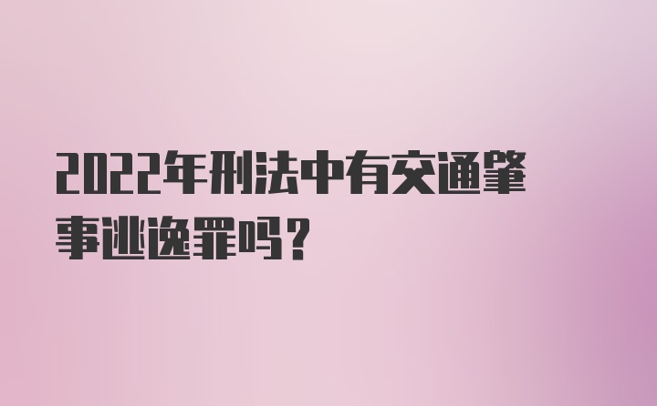 2022年刑法中有交通肇事逃逸罪吗？