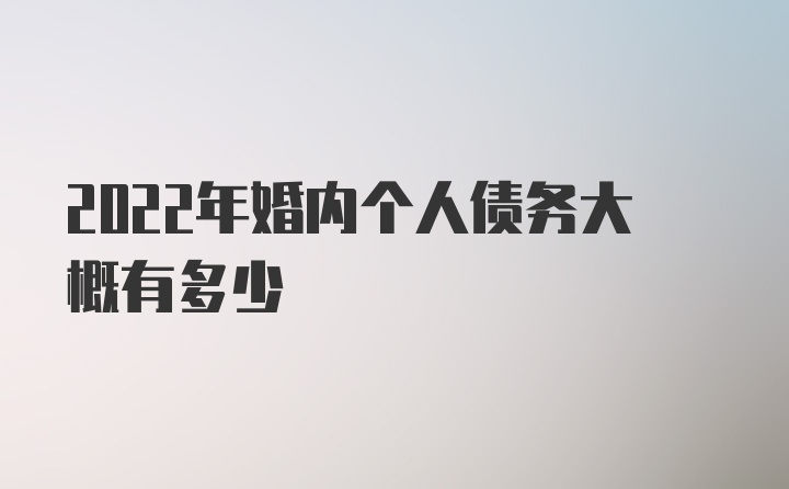 2022年婚内个人债务大概有多少