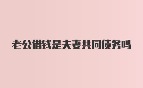 老公借钱是夫妻共同债务吗