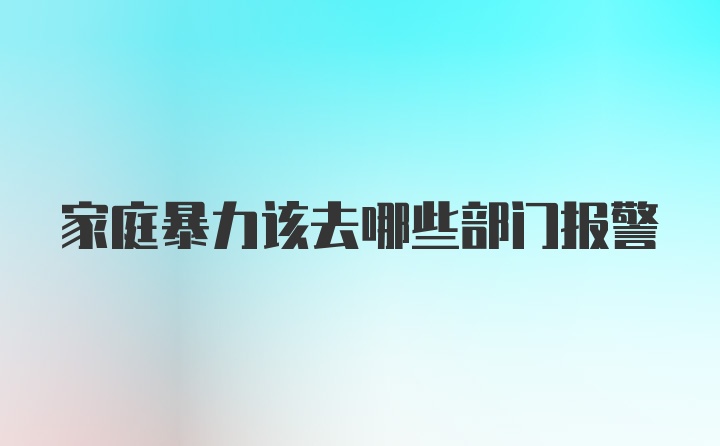 家庭暴力该去哪些部门报警