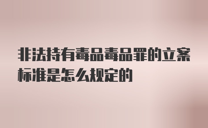 非法持有毒品毒品罪的立案标准是怎么规定的