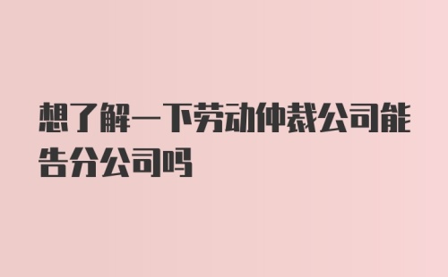 想了解一下劳动仲裁公司能告分公司吗