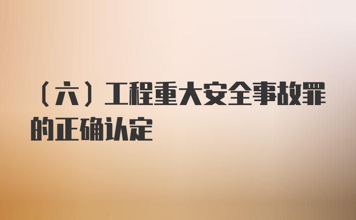 (六)工程重大安全事故罪的正确认定