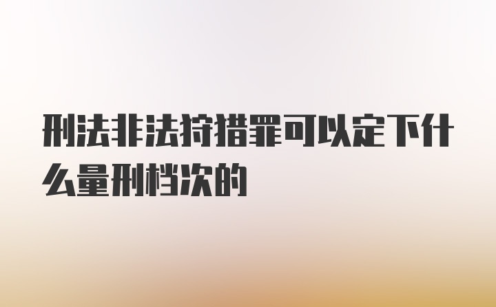 刑法非法狩猎罪可以定下什么量刑档次的