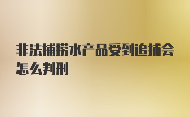 非法捕捞水产品受到追捕会怎么判刑