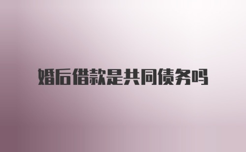 婚后借款是共同债务吗
