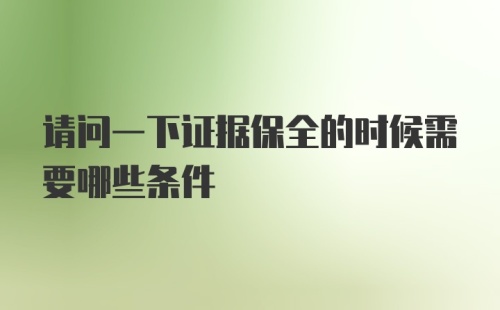 请问一下证据保全的时候需要哪些条件