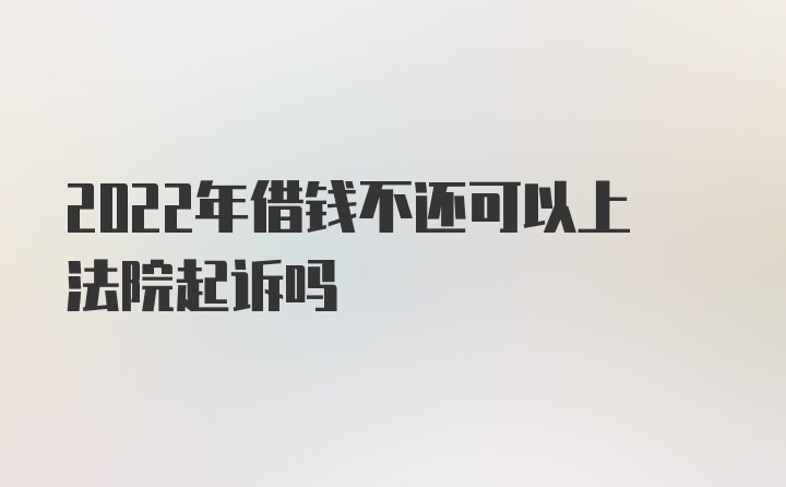 2022年借钱不还可以上法院起诉吗