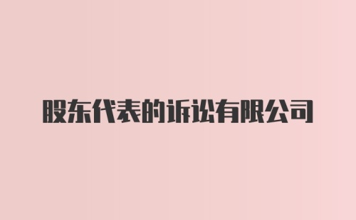 股东代表的诉讼有限公司