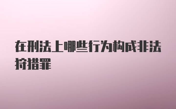 在刑法上哪些行为构成非法狩猎罪