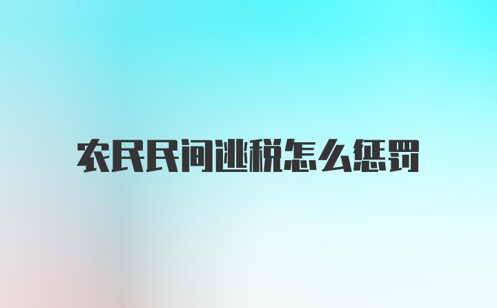 农民民间逃税怎么惩罚