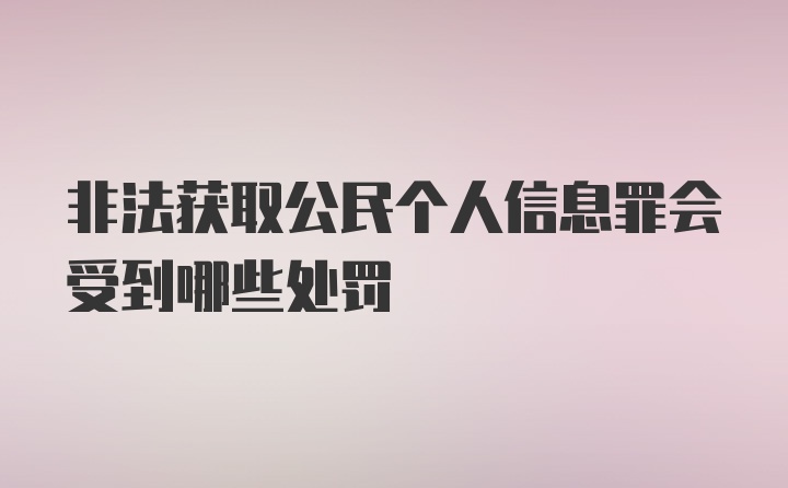 非法获取公民个人信息罪会受到哪些处罚