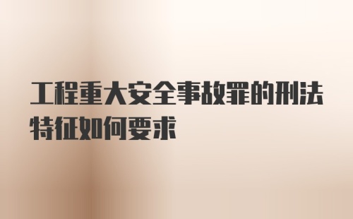 工程重大安全事故罪的刑法特征如何要求