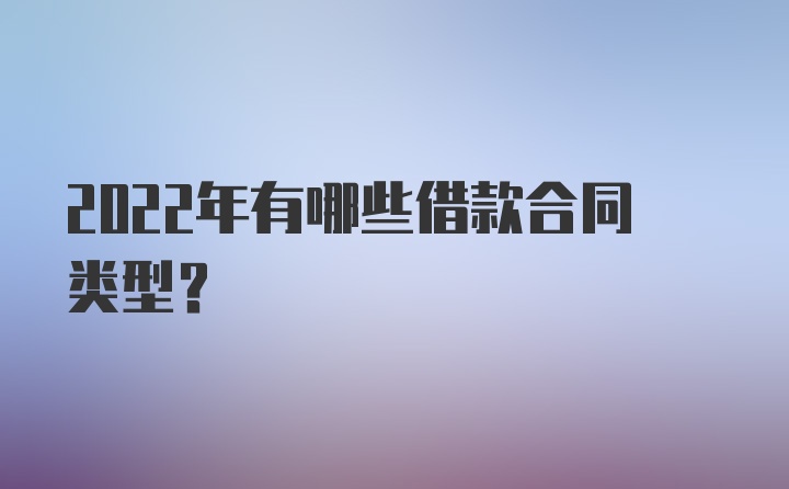 2022年有哪些借款合同类型？