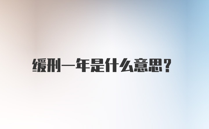 缓刑一年是什么意思？