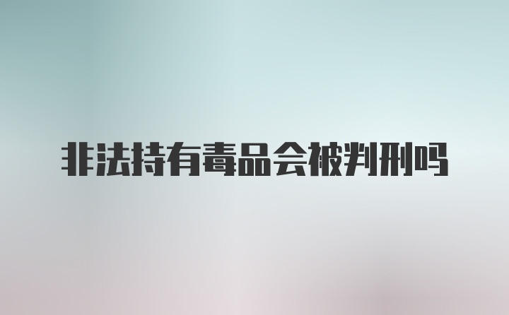 非法持有毒品会被判刑吗