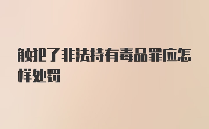 触犯了非法持有毒品罪应怎样处罚