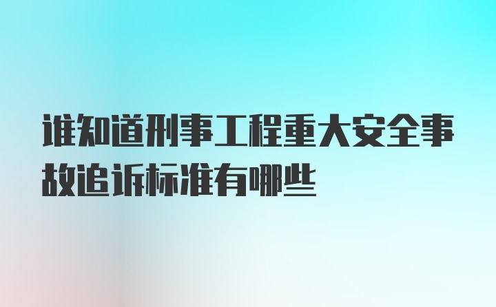 谁知道刑事工程重大安全事故追诉标准有哪些