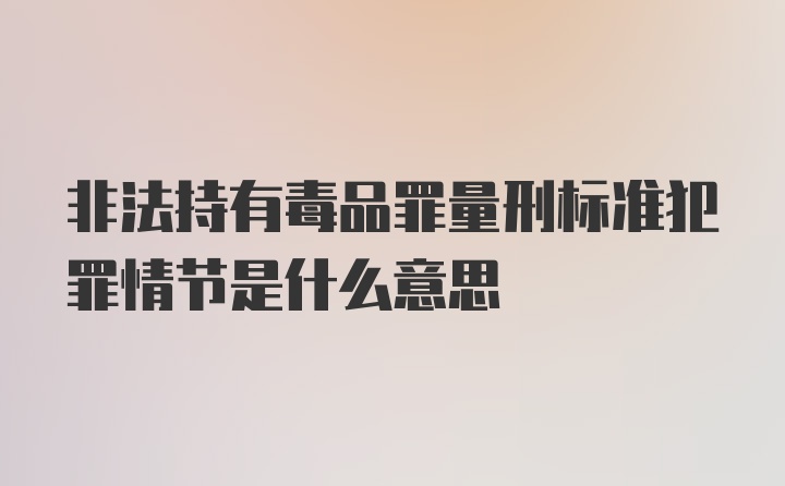 非法持有毒品罪量刑标准犯罪情节是什么意思