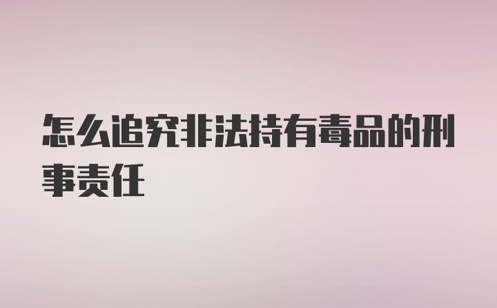 怎么追究非法持有毒品的刑事责任