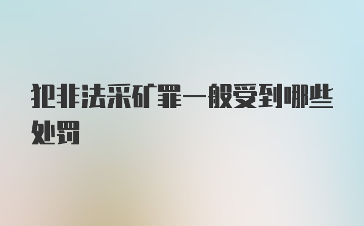 犯非法采矿罪一般受到哪些处罚