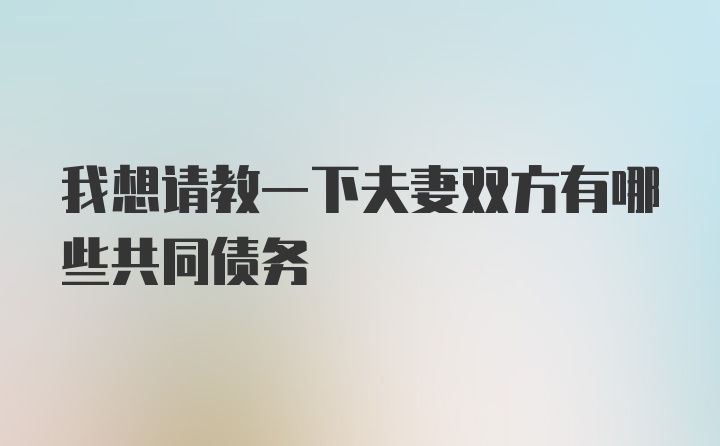 我想请教一下夫妻双方有哪些共同债务