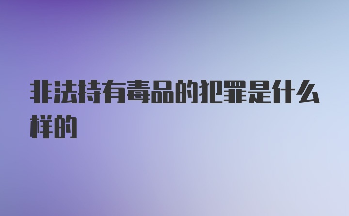 非法持有毒品的犯罪是什么样的