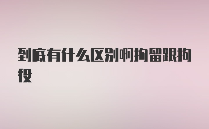 到底有什么区别啊拘留跟拘役