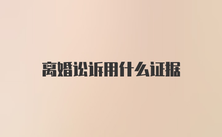 离婚讼诉用什么证据