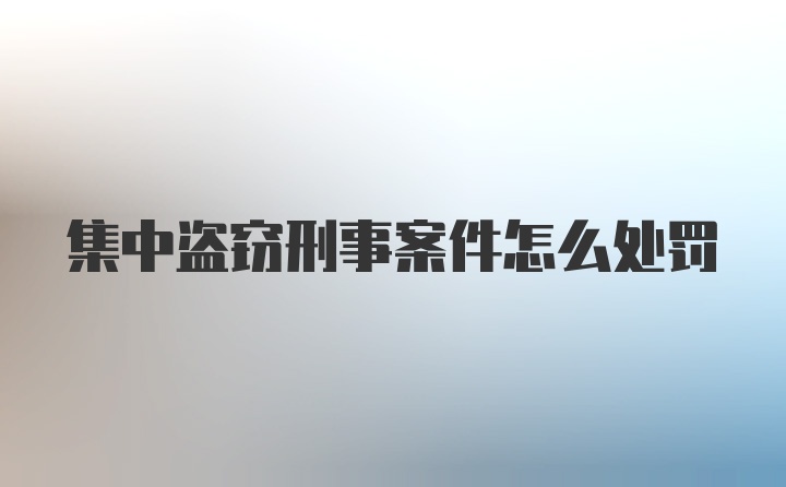 集中盗窃刑事案件怎么处罚