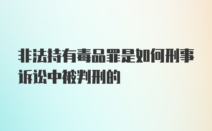 非法持有毒品罪是如何刑事诉讼中被判刑的